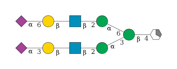 b1D-GlcNAc,p/#acleavage_1_5--4b1D-Man,p(--3a1D-Man,p--2b1D-GlcNAc,p--?b1D-Gal,p--3a2D-NeuAc,p)--6a1D-Man,p--2b1D-GlcNAc,p--?b1D-Gal,p--6a2D-NeuAc,p$MONO,Und,-H,0,redEnd