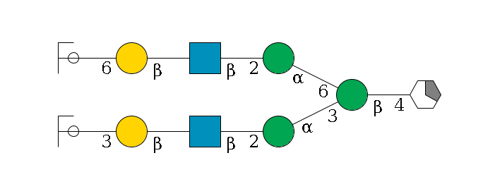 b1D-GlcNAc,p/#acleavage_1_5--4b1D-Man,p(--3a1D-Man,p--2b1D-GlcNAc,p--?b1D-Gal,p--3a2D-NeuAc,p/#ycleavage)--6a1D-Man,p--2b1D-GlcNAc,p--?b1D-Gal,p--6a2D-NeuAc,p/#ycleavage$MONO,Und,-H,0,redEnd
