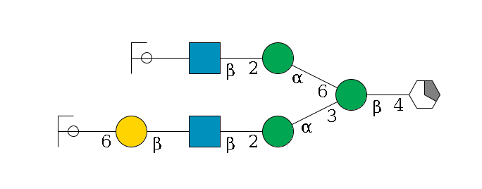 b1D-GlcNAc,p/#acleavage_1_5--4b1D-Man,p(--3a1D-Man,p--2b1D-GlcNAc,p--?b1D-Gal,p--6a2D-NeuAc,p/#ycleavage)--6a1D-Man,p--2b1D-GlcNAc,p--?b1D-Gal,p/#ycleavage$MONO,Und,-2H,0,redEnd