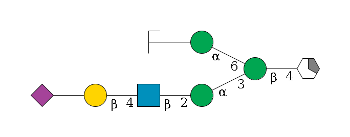 b1D-GlcNAc,p/#acleavage_1_5--4b1D-Man,p(--3a1D-Man,p--2b1D-GlcNAc,p--4b1D-Gal,p--??2D-NeuAc,p)--6a1D-Man,p--??1D-Man,p/#zcleavage$MONO,Und,-H,0,redEnd