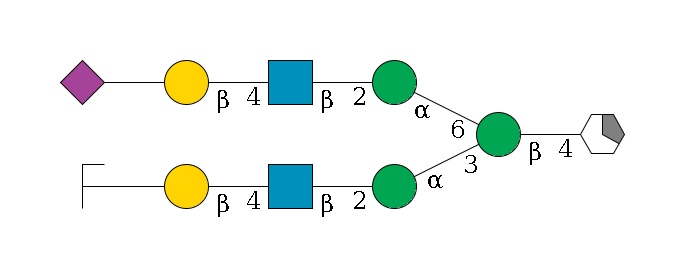 b1D-GlcNAc,p/#acleavage_1_5--4b1D-Man,p(--3a1D-Man,p--2b1D-GlcNAc,p--4b1D-Gal,p--??2D-NeuAc,p/#zcleavage)--6a1D-Man,p--2b1D-GlcNAc,p--4b1D-Gal,p--??2D-NeuAc,p$MONO,Und,-H,0,redEnd