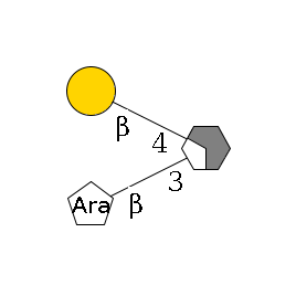 b1D-GlcNAc,p/#acleavage_2_4(--3b1D-Ara,p)--4b1D-Gal,p$MONO,perMe,Na,0,PA