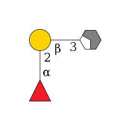b1D-GlcNAc,p/#acleavage_2_4--3b1D-Gal,p--2a1L-Fuc,p$MONO,Und,-H,0,redEnd