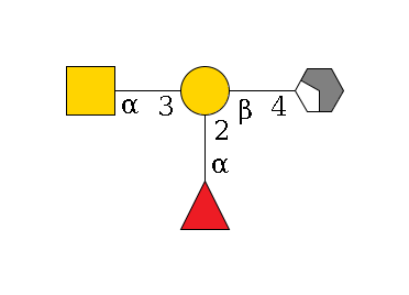 b1D-GlcNAc,p/#acleavage_2_4--4b1D-Gal,p(--3a1D-GalNAc,p)--2a1L-Fuc,p$MONO,Und,-H,0,redEnd