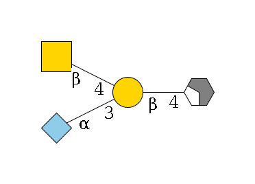 b1D-GlcNAc,p/#acleavage_2_4--4b1D-Gal,p(--3a2D-NeuGc,p)--4b1D-GalNAc,p$MONO,Und,-H,0,redEnd