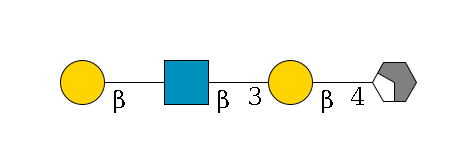 b1D-GlcNAc,p/#acleavage_2_4--4b1D-Gal,p--3b1D-GlcNAc,p--?b1D-Gal,p$MONO,Und,-H,0,redEnd