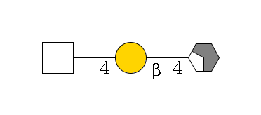 b1D-GlcNAc,p/#acleavage_2_4--4b1D-Gal,p--4?1HexNAc,p$MONO,Und,-H,0,redEnd