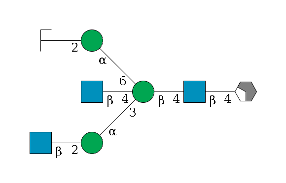 b1D-GlcNAc,p/#acleavage_2_4--4b1D-GlcNAc,p--4b1D-Man,p((--3a1D-Man,p--2b1D-GlcNAc,p)--4b1D-GlcNAc,p)--6a1D-Man,p--2b1D-GlcNAc,p/#zcleavage$MONO,Und,-2H,0,redEnd