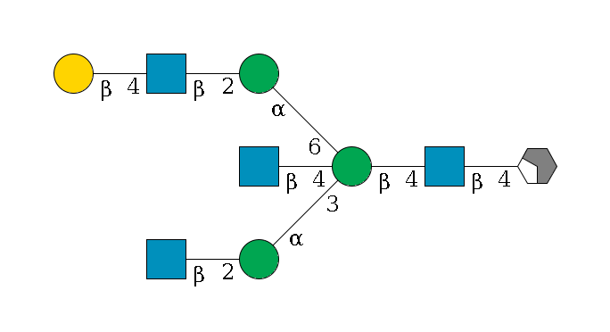 b1D-GlcNAc,p/#acleavage_2_4--4b1D-GlcNAc,p--4b1D-Man,p((--3a1D-Man,p--2b1D-GlcNAc,p)--4b1D-GlcNAc,p)--6a1D-Man,p--2b1D-GlcNAc,p--4b1D-Gal,p$MONO,Und,-2H,0,redEnd
