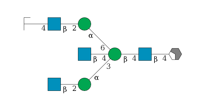 b1D-GlcNAc,p/#acleavage_2_4--4b1D-GlcNAc,p--4b1D-Man,p((--3a1D-Man,p--2b1D-GlcNAc,p)--4b1D-GlcNAc,p)--6a1D-Man,p--2b1D-GlcNAc,p--4b1D-Gal,p/#zcleavage$MONO,Und,-2H,0,redEnd