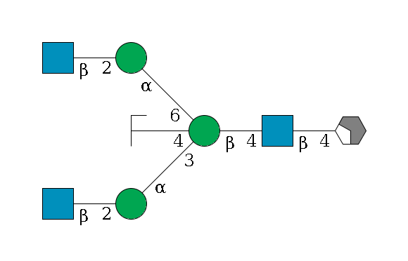 b1D-GlcNAc,p/#acleavage_2_4--4b1D-GlcNAc,p--4b1D-Man,p((--3a1D-Man,p--2b1D-GlcNAc,p)--4b1D-GlcNAc,p/#zcleavage)--6a1D-Man,p--2b1D-GlcNAc,p$MONO,Und,-2H,0,redEnd