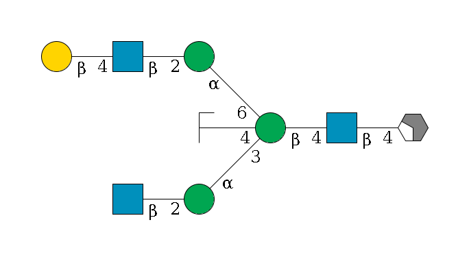 b1D-GlcNAc,p/#acleavage_2_4--4b1D-GlcNAc,p--4b1D-Man,p((--3a1D-Man,p--2b1D-GlcNAc,p)--4b1D-GlcNAc,p/#zcleavage)--6a1D-Man,p--2b1D-GlcNAc,p--4b1D-Gal,p$MONO,Und,-2H,0,redEnd