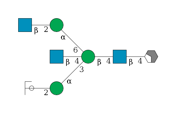b1D-GlcNAc,p/#acleavage_2_4--4b1D-GlcNAc,p--4b1D-Man,p((--3a1D-Man,p--2b1D-GlcNAc,p/#ycleavage)--4b1D-GlcNAc,p)--6a1D-Man,p--2b1D-GlcNAc,p$MONO,Und,-2H,0,redEnd