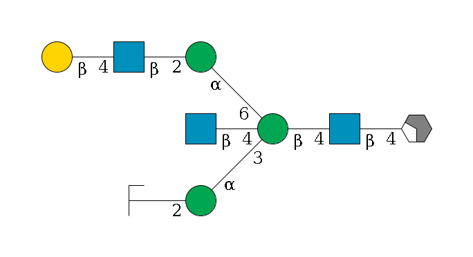 b1D-GlcNAc,p/#acleavage_2_4--4b1D-GlcNAc,p--4b1D-Man,p((--3a1D-Man,p--2b1D-GlcNAc,p/#zcleavage)--4b1D-GlcNAc,p)--6a1D-Man,p--2b1D-GlcNAc,p--4b1D-Gal,p$MONO,Und,-2H,0,redEnd
