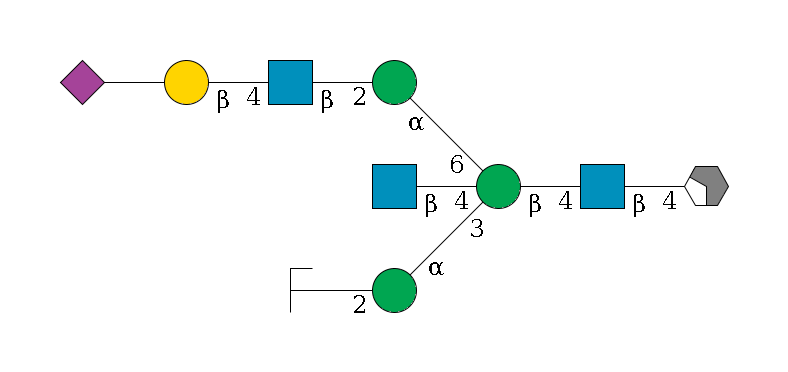 b1D-GlcNAc,p/#acleavage_2_4--4b1D-GlcNAc,p--4b1D-Man,p((--3a1D-Man,p--2b1D-GlcNAc,p/#zcleavage)--4b1D-GlcNAc,p)--6a1D-Man,p--2b1D-GlcNAc,p--4b1D-Gal,p--??2D-NeuAc,p$MONO,Und,-2H,0,redEnd