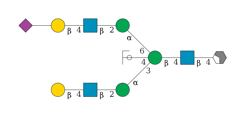 b1D-GlcNAc,p/#acleavage_2_4--4b1D-GlcNAc,p--4b1D-Man,p((--3a1D-Man,p--2b1D-GlcNAc,p--4b1D-Gal,p)--4b1D-GlcNAc,p/#ycleavage)--6a1D-Man,p--2b1D-GlcNAc,p--4b1D-Gal,p--??2D-NeuAc,p$MONO,Und,-2H,0,redEnd