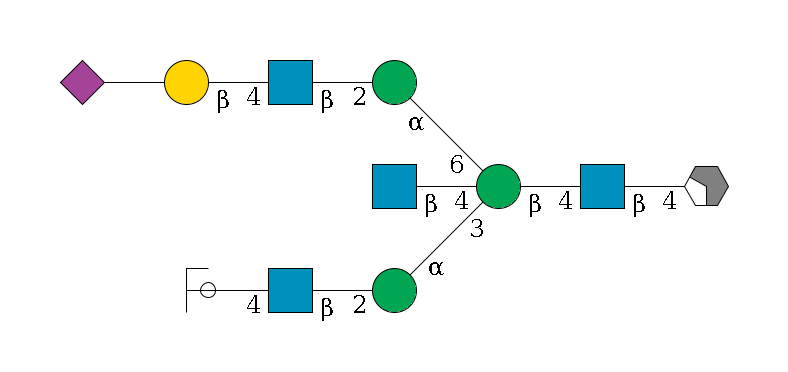 b1D-GlcNAc,p/#acleavage_2_4--4b1D-GlcNAc,p--4b1D-Man,p((--3a1D-Man,p--2b1D-GlcNAc,p--4b1D-Gal,p/#ycleavage)--4b1D-GlcNAc,p)--6a1D-Man,p--2b1D-GlcNAc,p--4b1D-Gal,p--??2D-NeuAc,p$MONO,Und,-H,0,redEnd