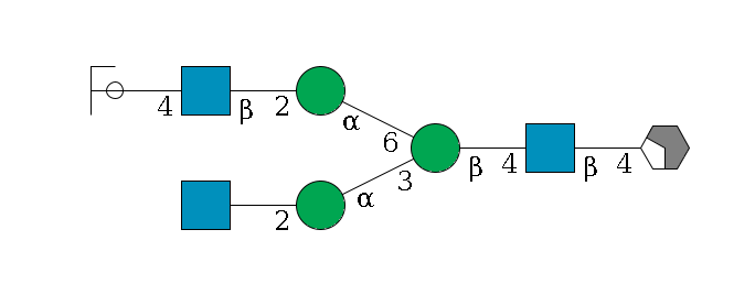b1D-GlcNAc,p/#acleavage_2_4--4b1D-GlcNAc,p--4b1D-Man,p(--3a1D-Man,p--2?1D-GlcNAc,p)--6a1D-Man,p--2b1D-GlcNAc,p--4b1D-Gal,p/#ycleavage$MONO,Und,-H,0,redEnd