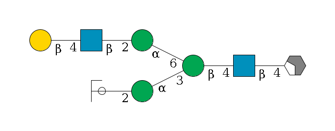 b1D-GlcNAc,p/#acleavage_2_4--4b1D-GlcNAc,p--4b1D-Man,p(--3a1D-Man,p--2?1D-GlcNAc,p/#ycleavage)--6a1D-Man,p--2b1D-GlcNAc,p--4b1D-Gal,p$MONO,Und,-2H,0,redEnd