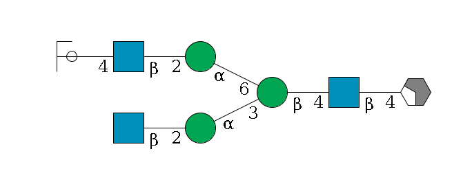 b1D-GlcNAc,p/#acleavage_2_4--4b1D-GlcNAc,p--4b1D-Man,p(--3a1D-Man,p--2b1D-GlcNAc,p)--6a1D-Man,p--2b1D-GlcNAc,p--4b1D-Gal,p/#ycleavage$MONO,Und,-2H,0,redEnd