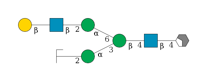 b1D-GlcNAc,p/#acleavage_2_4--4b1D-GlcNAc,p--4b1D-Man,p(--3a1D-Man,p--2b1D-GlcNAc,p/#zcleavage)--6a1D-Man,p--2b1D-GlcNAc,p--?b1D-Gal,p$MONO,Und,-H,0,redEnd