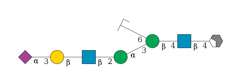 b1D-GlcNAc,p/#acleavage_2_4--4b1D-GlcNAc,p--4b1D-Man,p(--3a1D-Man,p--2b1D-GlcNAc,p--?b1D-Gal,p--3a2D-NeuAc,p)--6a1D-Man,p/#zcleavage$MONO,Und,-2H,0,redEnd