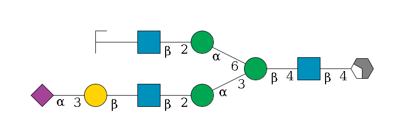 b1D-GlcNAc,p/#acleavage_2_4--4b1D-GlcNAc,p--4b1D-Man,p(--3a1D-Man,p--2b1D-GlcNAc,p--?b1D-Gal,p--3a2D-NeuAc,p)--6a1D-Man,p--2b1D-GlcNAc,p--?b1D-Gal,p/#zcleavage$MONO,Und,-H,0,redEnd