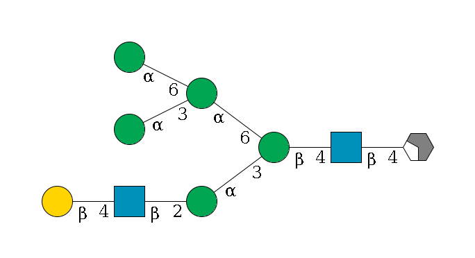 b1D-GlcNAc,p/#acleavage_2_4--4b1D-GlcNAc,p--4b1D-Man,p(--3a1D-Man,p--2b1D-GlcNAc,p--4b1D-Gal,p)--6a1D-Man,p(--3a1D-Man,p)--6a1D-Man,p$MONO,Und,-2H,0,redEnd