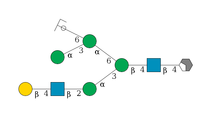 b1D-GlcNAc,p/#acleavage_2_4--4b1D-GlcNAc,p--4b1D-Man,p(--3a1D-Man,p--2b1D-GlcNAc,p--4b1D-Gal,p)--6a1D-Man,p(--3a1D-Man,p)--6a1D-Man,p/#ycleavage$MONO,Und,-H,0,redEnd