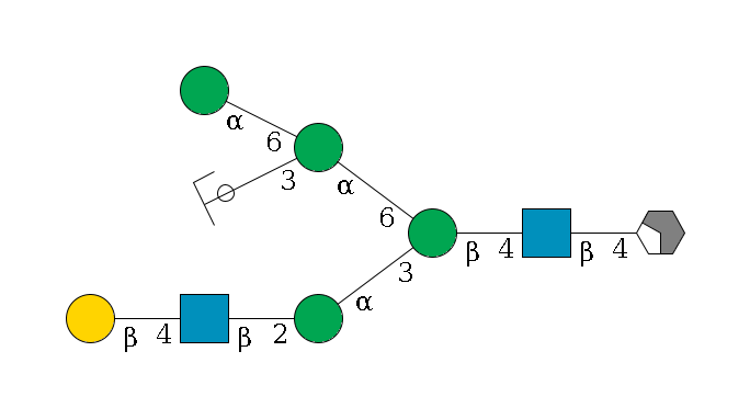 b1D-GlcNAc,p/#acleavage_2_4--4b1D-GlcNAc,p--4b1D-Man,p(--3a1D-Man,p--2b1D-GlcNAc,p--4b1D-Gal,p)--6a1D-Man,p(--3a1D-Man,p/#ycleavage)--6a1D-Man,p$MONO,Und,-H,0,redEnd