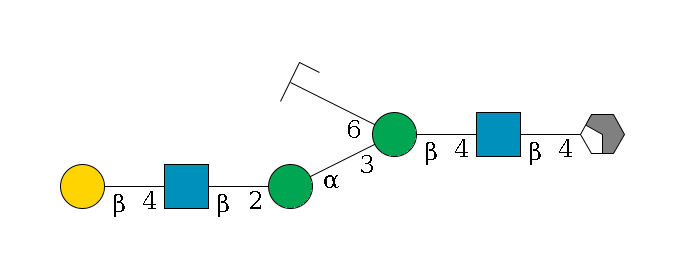 b1D-GlcNAc,p/#acleavage_2_4--4b1D-GlcNAc,p--4b1D-Man,p(--3a1D-Man,p--2b1D-GlcNAc,p--4b1D-Gal,p)--6a1D-Man,p/#zcleavage$MONO,Und,-2H,0,redEnd