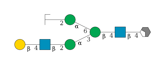 b1D-GlcNAc,p/#acleavage_2_4--4b1D-GlcNAc,p--4b1D-Man,p(--3a1D-Man,p--2b1D-GlcNAc,p--4b1D-Gal,p)--6a1D-Man,p--2b1D-GlcNAc,p/#zcleavage$MONO,Und,-2H,0,redEnd