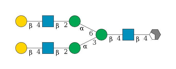 b1D-GlcNAc,p/#acleavage_2_4--4b1D-GlcNAc,p--4b1D-Man,p(--3a1D-Man,p--2b1D-GlcNAc,p--4b1D-Gal,p)--6a1D-Man,p--2b1D-GlcNAc,p--4b1D-Gal,p$MONO,Und,-2H,0,redEnd