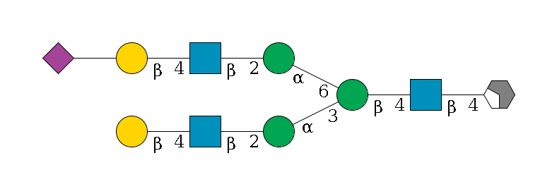 b1D-GlcNAc,p/#acleavage_2_4--4b1D-GlcNAc,p--4b1D-Man,p(--3a1D-Man,p--2b1D-GlcNAc,p--4b1D-Gal,p)--6a1D-Man,p--2b1D-GlcNAc,p--4b1D-Gal,p--??2D-NeuAc,p$MONO,Und,-2H,0,redEnd