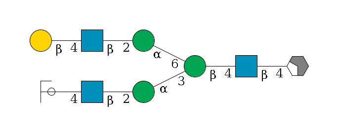 b1D-GlcNAc,p/#acleavage_2_4--4b1D-GlcNAc,p--4b1D-Man,p(--3a1D-Man,p--2b1D-GlcNAc,p--4b1D-Gal,p/#ycleavage)--6a1D-Man,p--2b1D-GlcNAc,p--4b1D-Gal,p$MONO,Und,-2H,0,redEnd