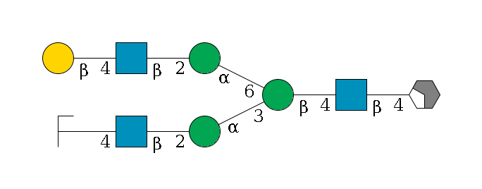 b1D-GlcNAc,p/#acleavage_2_4--4b1D-GlcNAc,p--4b1D-Man,p(--3a1D-Man,p--2b1D-GlcNAc,p--4b1D-Gal,p/#zcleavage)--6a1D-Man,p--2b1D-GlcNAc,p--4b1D-Gal,p$MONO,Und,-2H,0,redEnd