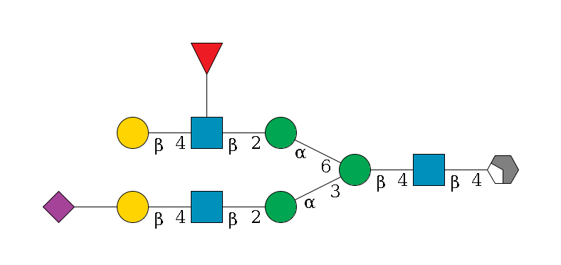b1D-GlcNAc,p/#acleavage_2_4--4b1D-GlcNAc,p--4b1D-Man,p(--3a1D-Man,p--2b1D-GlcNAc,p--4b1D-Gal,p--??2D-NeuAc,p)--6a1D-Man,p--2b1D-GlcNAc,p(--4b1D-Gal,p)--??1L-Fuc,p$MONO,Und,-H,0,redEnd