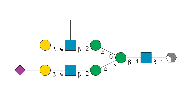 b1D-GlcNAc,p/#acleavage_2_4--4b1D-GlcNAc,p--4b1D-Man,p(--3a1D-Man,p--2b1D-GlcNAc,p--4b1D-Gal,p--??2D-NeuAc,p)--6a1D-Man,p--2b1D-GlcNAc,p(--4b1D-Gal,p)--??1L-Fuc,p/#zcleavage$MONO,Und,-2H,0,redEnd