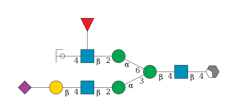 b1D-GlcNAc,p/#acleavage_2_4--4b1D-GlcNAc,p--4b1D-Man,p(--3a1D-Man,p--2b1D-GlcNAc,p--4b1D-Gal,p--??2D-NeuAc,p)--6a1D-Man,p--2b1D-GlcNAc,p(--4b1D-Gal,p/#ycleavage)--??1L-Fuc,p$MONO,Und,-H,0,redEnd