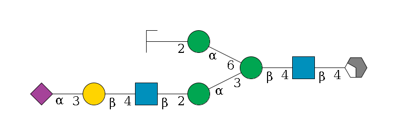 b1D-GlcNAc,p/#acleavage_2_4--4b1D-GlcNAc,p--4b1D-Man,p(--3a1D-Man,p--2b1D-GlcNAc,p--4b1D-Gal,p--3a2D-NeuAc,p)--6a1D-Man,p--2b1D-GlcNAc,p/#zcleavage$MONO,Und,-H,0,redEnd