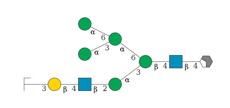 b1D-GlcNAc,p/#acleavage_2_4--4b1D-GlcNAc,p--4b1D-Man,p(--3a1D-Man,p--2b1D-GlcNAc,p--4b1D-Gal,p--3a2D-NeuAc,p/#zcleavage)--6a1D-Man,p(--3a1D-Man,p)--6a1D-Man,p$MONO,Und,-2H,0,redEnd