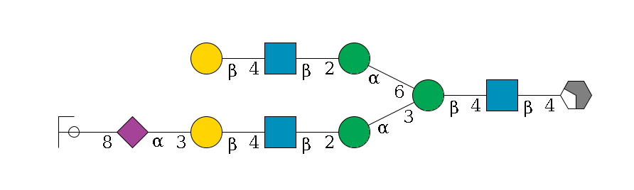 b1D-GlcNAc,p/#acleavage_2_4--4b1D-GlcNAc,p--4b1D-Man,p(--3a1D-Man,p--2b1D-GlcNAc,p--4b1D-Gal,p--3a2D-NeuAc,p--8a2D-NeuAc,p/#ycleavage)--6a1D-Man,p--2b1D-GlcNAc,p--4b1D-Gal,p$MONO,Und,-H,0,redEnd