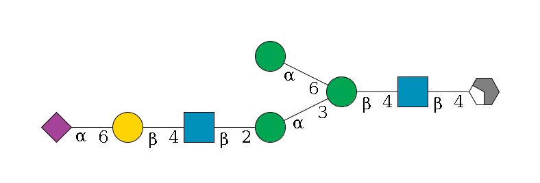 b1D-GlcNAc,p/#acleavage_2_4--4b1D-GlcNAc,p--4b1D-Man,p(--3a1D-Man,p--2b1D-GlcNAc,p--4b1D-Gal,p--6a2D-NeuAc,p)--6a1D-Man,p$MONO,Und,-2H,0,redEnd