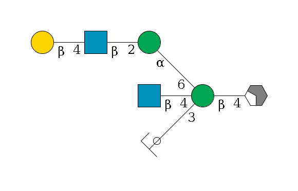 b1D-GlcNAc,p/#acleavage_2_4--4b1D-Man,p((--3a1D-Man,p/#ycleavage)--4b1D-GlcNAc,p)--6a1D-Man,p--2b1D-GlcNAc,p--4b1D-Gal,p$MONO,Und,-H,0,redEnd
