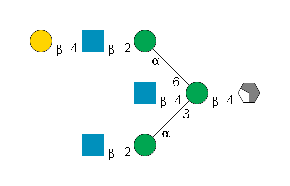 b1D-GlcNAc,p/#acleavage_2_4--4b1D-Man,p((--3a1D-Man,p--2b1D-GlcNAc,p)--4b1D-GlcNAc,p)--6a1D-Man,p--2b1D-GlcNAc,p--4b1D-Gal,p$MONO,Und,-2H,0,redEnd