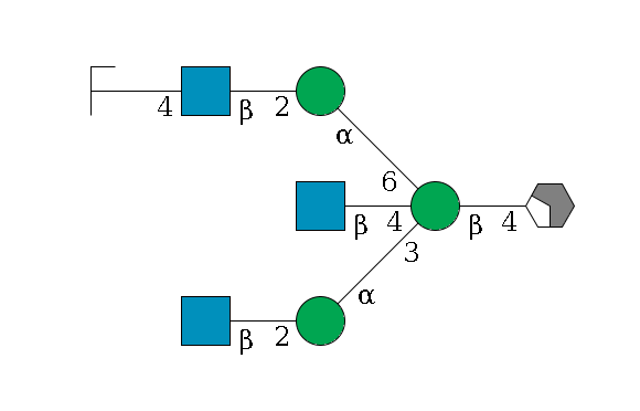 b1D-GlcNAc,p/#acleavage_2_4--4b1D-Man,p((--3a1D-Man,p--2b1D-GlcNAc,p)--4b1D-GlcNAc,p)--6a1D-Man,p--2b1D-GlcNAc,p--4b1D-Gal,p/#zcleavage$MONO,Und,-2H,0,redEnd