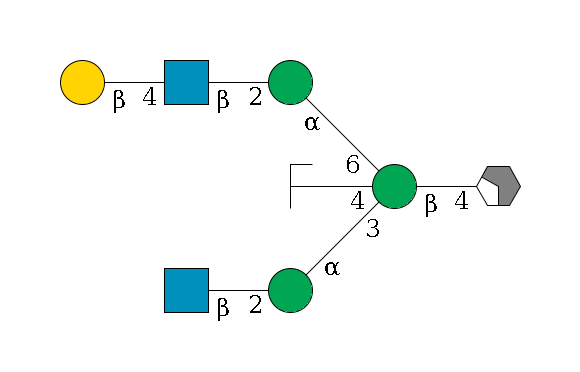 b1D-GlcNAc,p/#acleavage_2_4--4b1D-Man,p((--3a1D-Man,p--2b1D-GlcNAc,p)--4b1D-GlcNAc,p/#zcleavage)--6a1D-Man,p--2b1D-GlcNAc,p--4b1D-Gal,p$MONO,Und,-H,0,redEnd