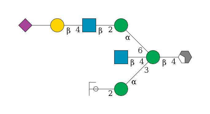 b1D-GlcNAc,p/#acleavage_2_4--4b1D-Man,p((--3a1D-Man,p--2b1D-GlcNAc,p/#ycleavage)--4b1D-GlcNAc,p)--6a1D-Man,p--2b1D-GlcNAc,p--4b1D-Gal,p--??2D-NeuAc,p$MONO,Und,-2H,0,redEnd