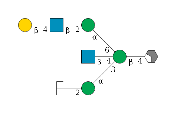 b1D-GlcNAc,p/#acleavage_2_4--4b1D-Man,p((--3a1D-Man,p--2b1D-GlcNAc,p/#zcleavage)--4b1D-GlcNAc,p)--6a1D-Man,p--2b1D-GlcNAc,p--4b1D-Gal,p$MONO,Und,-H,0,redEnd
