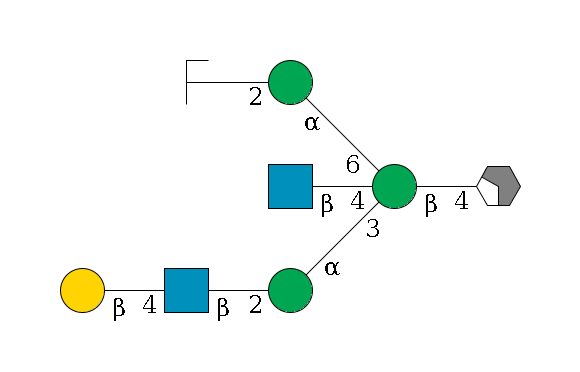 b1D-GlcNAc,p/#acleavage_2_4--4b1D-Man,p((--3a1D-Man,p--2b1D-GlcNAc,p--4b1D-Gal,p)--4b1D-GlcNAc,p)--6a1D-Man,p--2b1D-GlcNAc,p/#zcleavage$MONO,Und,-H,0,redEnd